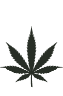 logo dark